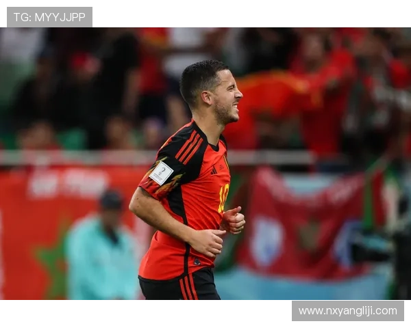 比利时足球历史传奇球星回顾与成就分析